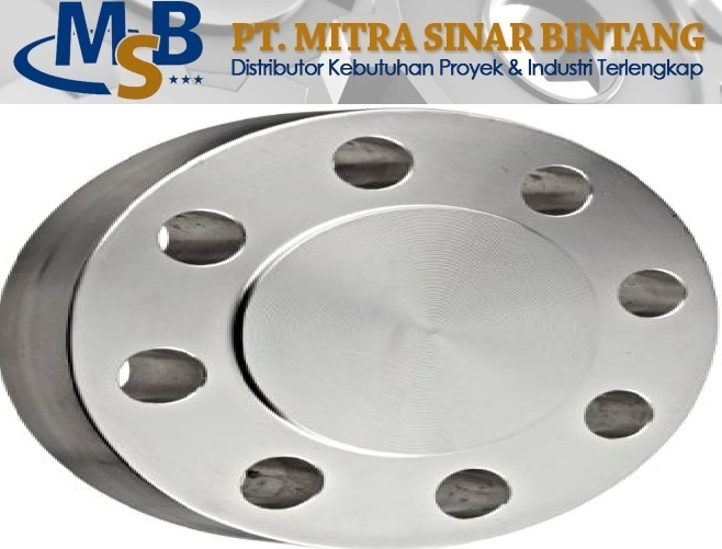 Blind Flange Class 600 SS316L
