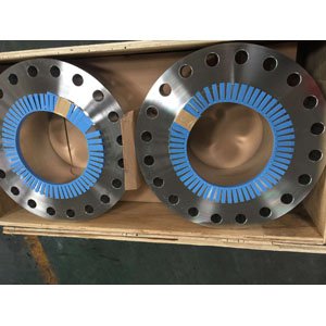 FLANGE WN A182 F316/316L