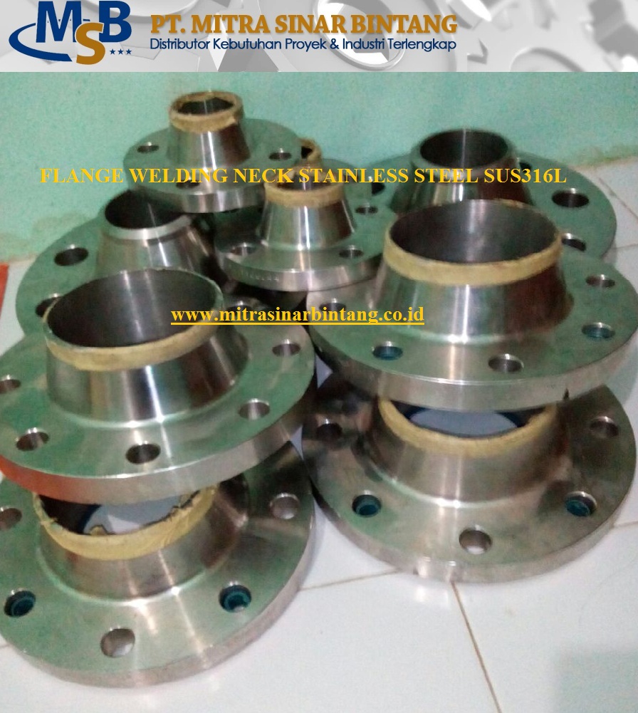 Flange WN SS316L