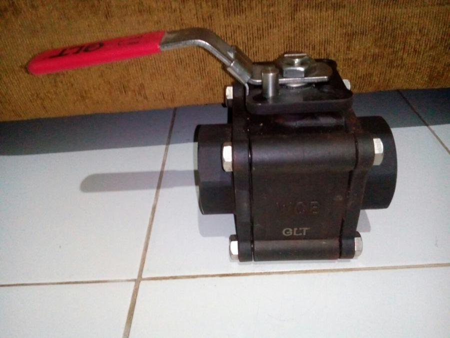 Globe Valve Class #800 Stainless Steel Ss316L