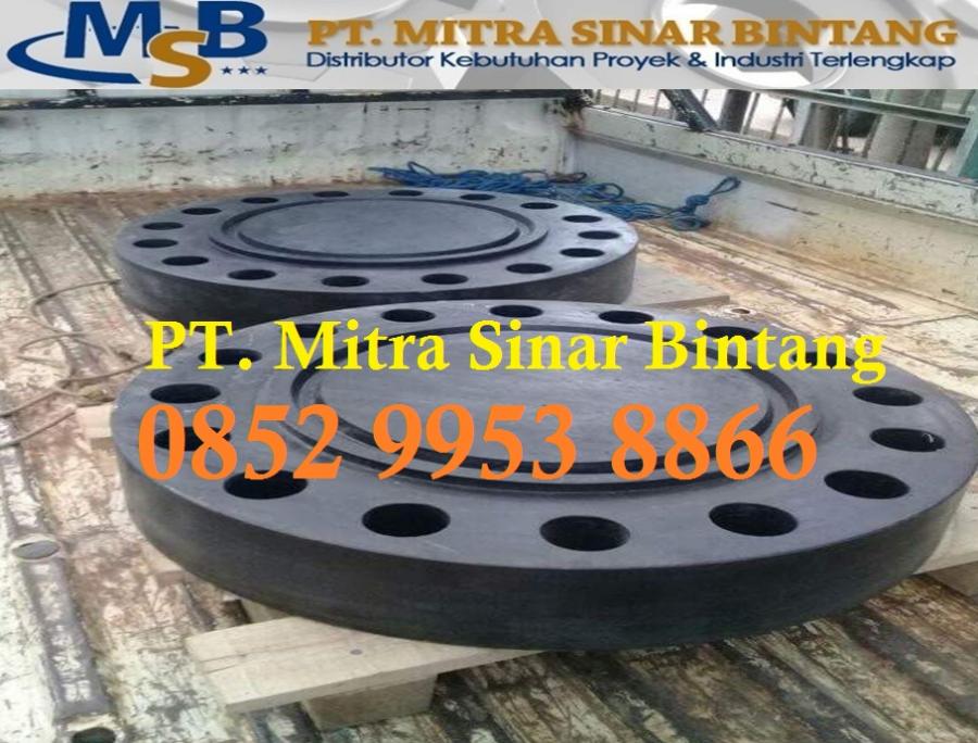 Jual Blind Flange Cs ASTM A105N