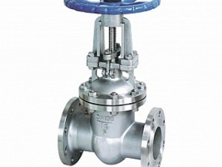 JUAL GATE VALVE SS304