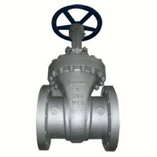 JUAL GATE VALVE WCB