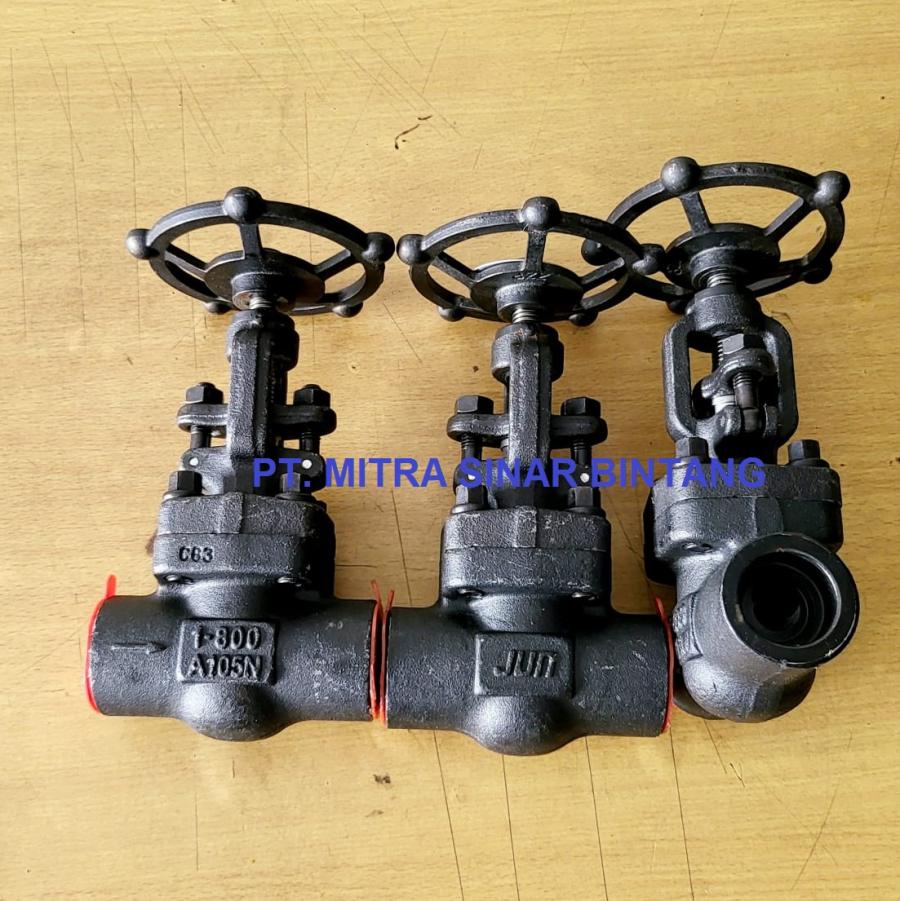 GLOBE VALVE CLASS 800 CS A105