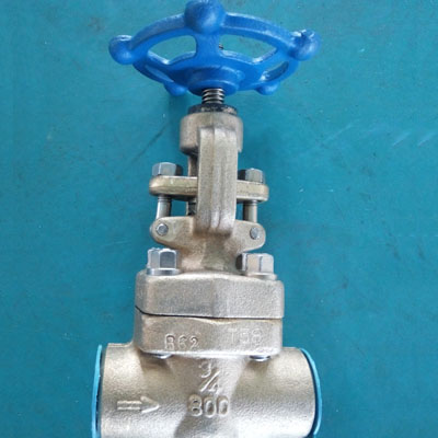 Jual Glove Valve SS304L Socket Welded
