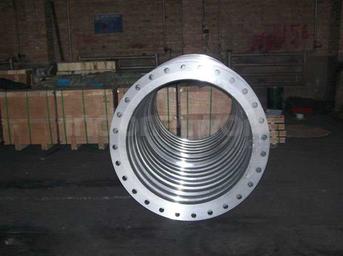 Slip On Flange A182 F304L